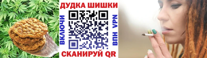 закладка  Николаевск  Canna-Cookies конопля 