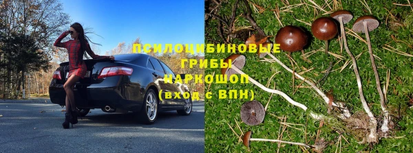 кокс Дмитровск