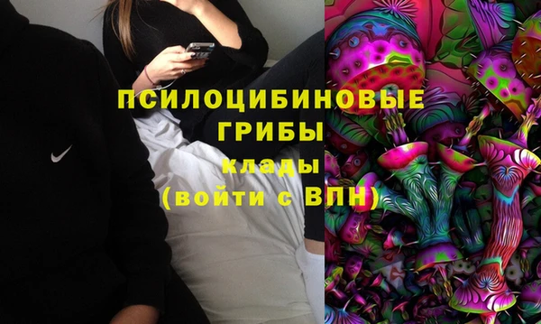 кокс Дмитровск