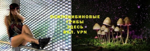 кокс Дмитровск